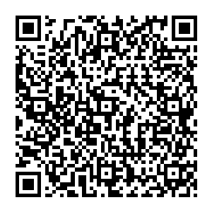 这也是当今社会为什么那么多病人家属会给医生塞红包如果医生不接受他们还惊慌着急的原因二维码生成