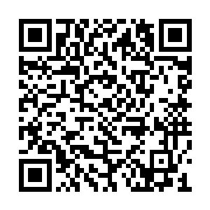 这也是当初马丁一鲍姆一直劝她不要冲动的原因二维码生成