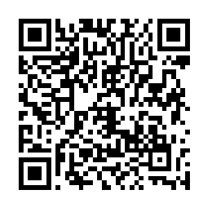 这也是李蘭枫带着面具滋润地在童军与军校中生活二维码生成