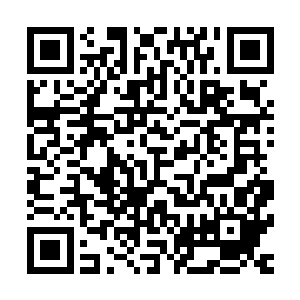 这也是这个剧本没有进入你的选择范围内的原因――这个价码二维码生成