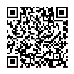 这也是这些领导人没有决心开发这里的原因之一二维码生成
