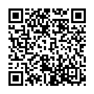 这也是那些人为何敢上到此地来探险寻宝的依仗二维码生成
