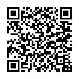 这也更加印证了此地元珠还没能凝聚诞生出元灵之神的猜测二维码生成