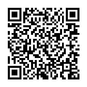 这也让谢文东和弗拉基米尔的结盟变得毫无意义二维码生成