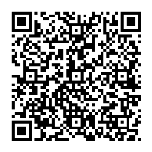 这也让雨果清楚地明白了在历史长河里作为一个独立个性的人类是多么渺小的现实二维码生成