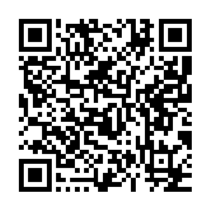 这也许是省委需要分步骤来解决一些在他们看来不太急迫的安排二维码生成