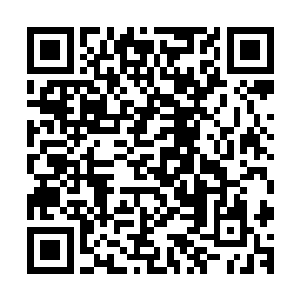 这五个强大的修士就是为了启动巅峰杀阵而奉献了自己的生命二维码生成