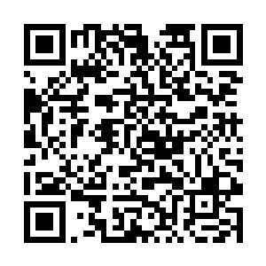 这五名老者正是从老妪手中逃脱出来的司徒老鬼五人二维码生成