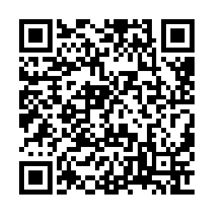 这些一二级的仙草显然都是必不可少的炼丹材料二维码生成