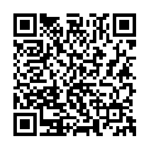 这些万象九重宗师自然不会放过这个大好的机会二维码生成