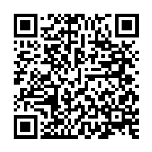 这些上古天尊已经看到了九大宗主和四堂堂主开启的水幕天华二维码生成