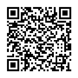 这些下跪的成年人大都是跟庆国有深仇大恨之人二维码生成