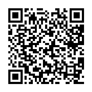 这些为了保存文明而心甘情愿一个个跳进动力炉的种族二维码生成