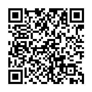 这些人也显然没有料到势在必得蓄谋已久的计划竟然会失败二维码生成