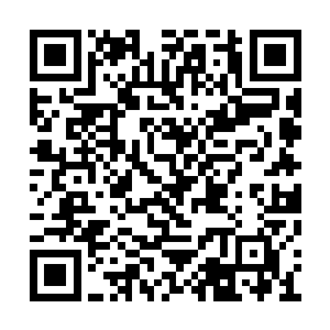 这些人光想着飞剑能够卖多少钱或者是据为己有二维码生成
