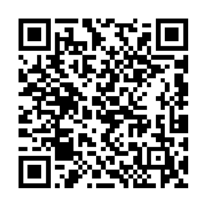 这些人单论手脚根本不可能是秦方和秦受兄的对手二维码生成