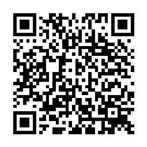 这些人完全没有反应过来的时候就被夏天和风中鹤突袭了二维码生成