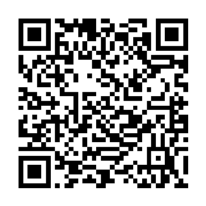 这些人怎能成为剑城这个剑修心目中圣地的楷模人物二维码生成