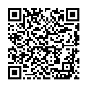 这些人所得到的加起来只怕也不足原本光点的一成二维码生成