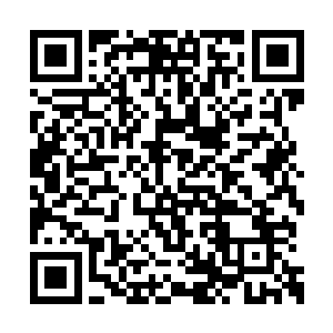 这些人没有一个人洛离看清楚他们是怎么出现的二维码生成