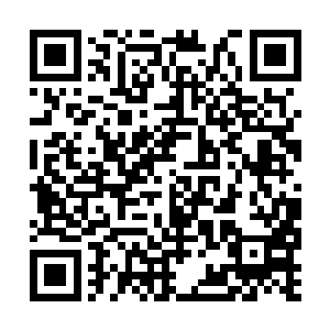 这些人登船时那十个武者的灵气消耗也都差不多了二维码生成