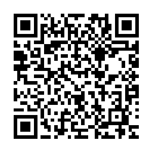 这些人能坐视萧老国公亲自挑选的孙媳妇的亲大哥被打成那样二维码生成