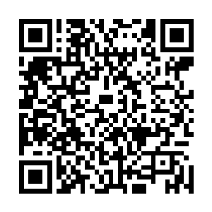 这些人都是由华阳王爷在照看着……若是华阳王爷当真出征二维码生成