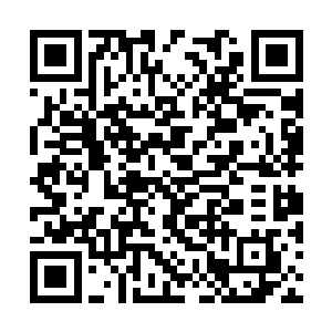 这些人里除了大江和黄毛平时不涉及这种场所之外二维码生成