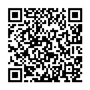 这些以后都将是我在化仙者地盘不可小窥的力量二维码生成