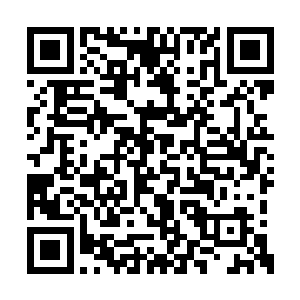 这些伤势综合起来也只需要大量能量就能修复的二维码生成