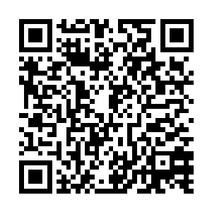 这些侍女们见到轩辕无极和接触轩辕无极的次数更多二维码生成