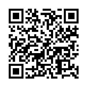 这些借款不是德国政府直接借给民国政府的二维码生成