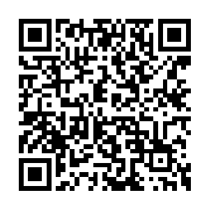 这些化神修士一个个的脾性都阴晴不定难以捉摸二维码生成