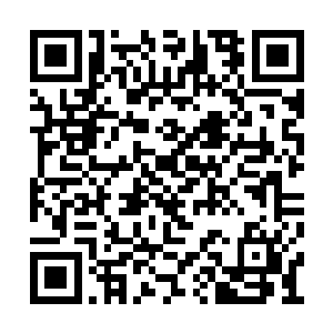 这些却是刚刚进入仙农洞府的修士留下来的家人二维码生成