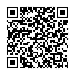 这些原本自己可望不可即的修真境界居然就如同上楼梯一般二维码生成