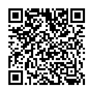 这些叛军大多是当地的穷街陋巷招募来的男孩子二维码生成