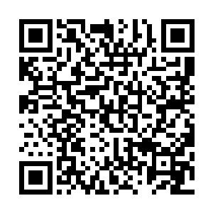 这些吸收近体内的天地元力就会激活细胞中沉寂的变异力量二维码生成