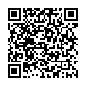 这些圣级大修士对于他们这些修士压力实在是太大二维码生成