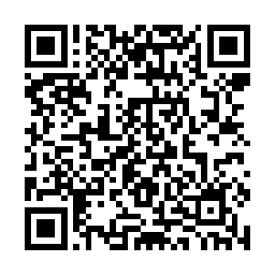 这些在江州市公安局大院里议论纷纷的人们也不知道二维码生成