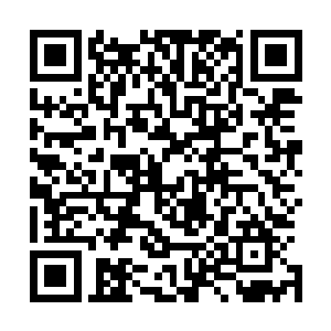 这些墨族大军显然是这些日子赶赴王城的域主们带来的属军二维码生成