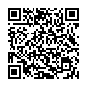 这些士兵的死去就如同倒下了压在了他们身上的大山二维码生成