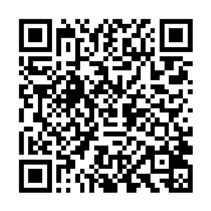 这些天一直没有正式露面的三十万狼圣军也整军待发二维码生成