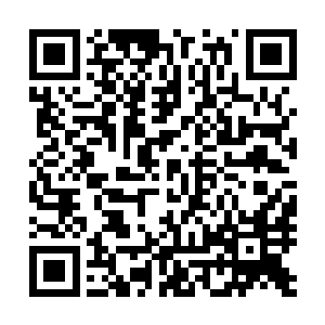 这些天元神族强者在无尽蛮荒这种天道之力极其稀薄的地方二维码生成