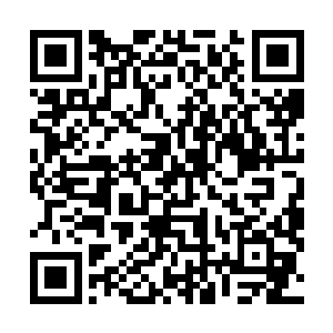 这些天天漫山遍野跟野兽搏斗的原始的身材可真是一级棒二维码生成