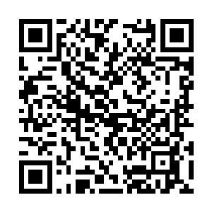 这些天才们的实力大部分都是七鼎五阶到七鼎九阶二维码生成