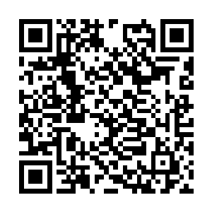 这些太上长老哪一个不是活了数千上万年甚至更久二维码生成