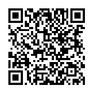 这些妇女们看着昆哥和那些小弟们一个个凶神恶煞的二维码生成