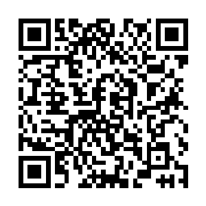 这些子弹阳阳少爷都是用来研究对付大罗金仙以下的二维码生成