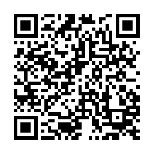 这些宝物速度再快也会在飞出去一段就给逮住吃掉二维码生成