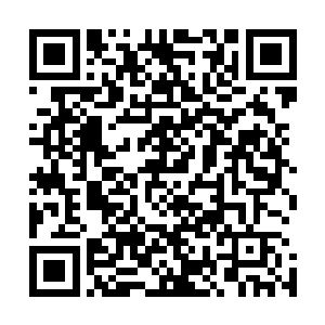 这些家伙只好在网络上发表了针对可能出现的首映式的言论二维码生成